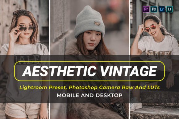 Download 10 Aesthetic Vintage Presets and Luts - Vintage presets Collection