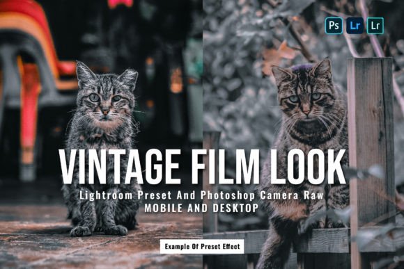 Download 15 Vintage Film Look Lightroom Presets - Film look Collection
